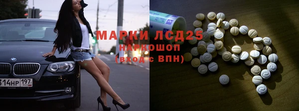 шишки Аркадак