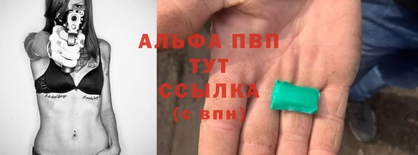 шишки Аркадак