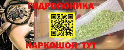 Альфа ПВП Малгобек