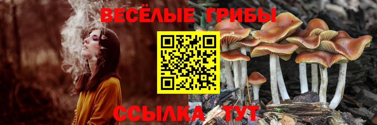 Галлюциногенные грибы GOLDEN TEACHER Елабуга